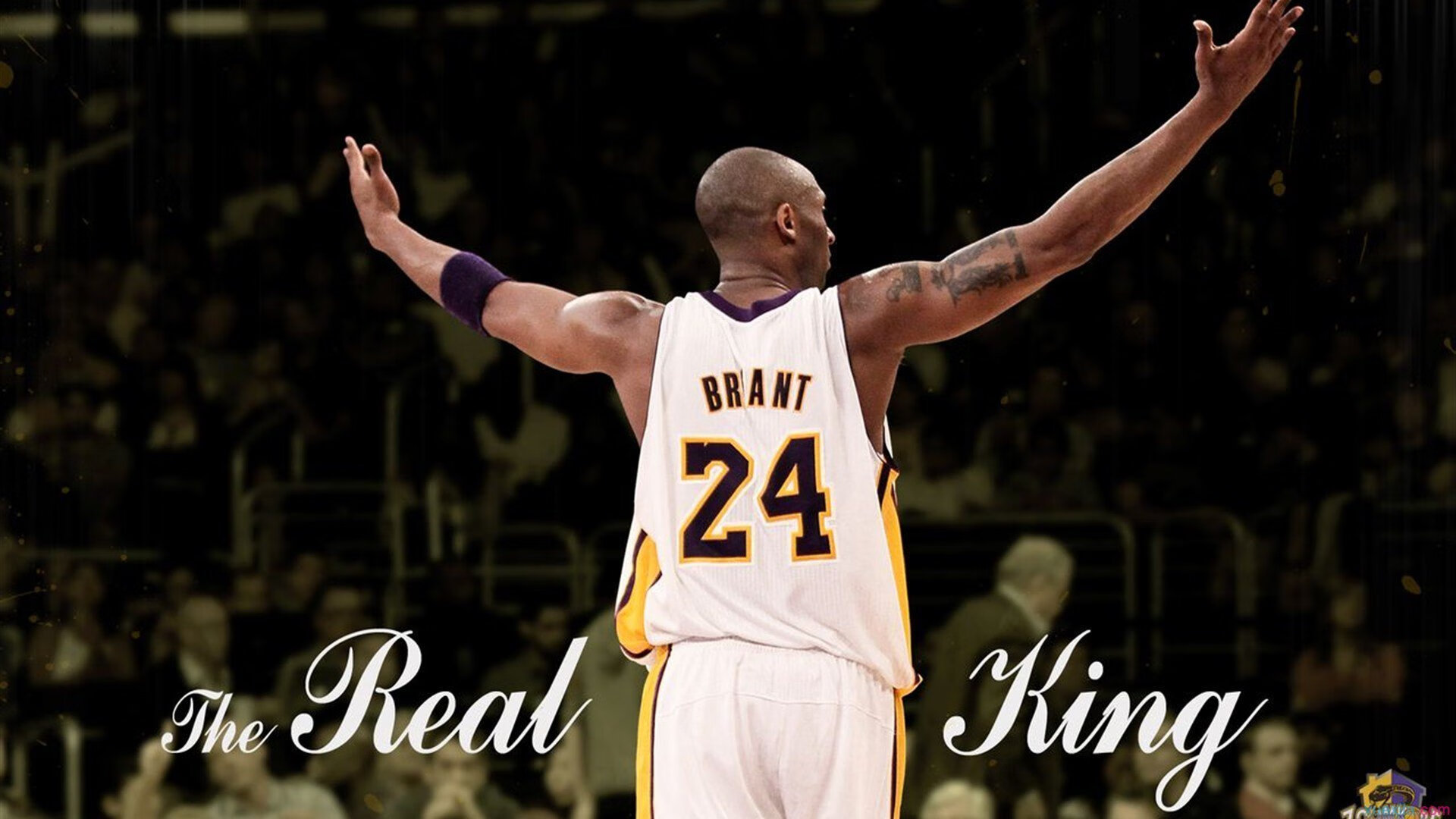 绝杀背后，当莫兰特用冠军级表现撕碎宿命剧本